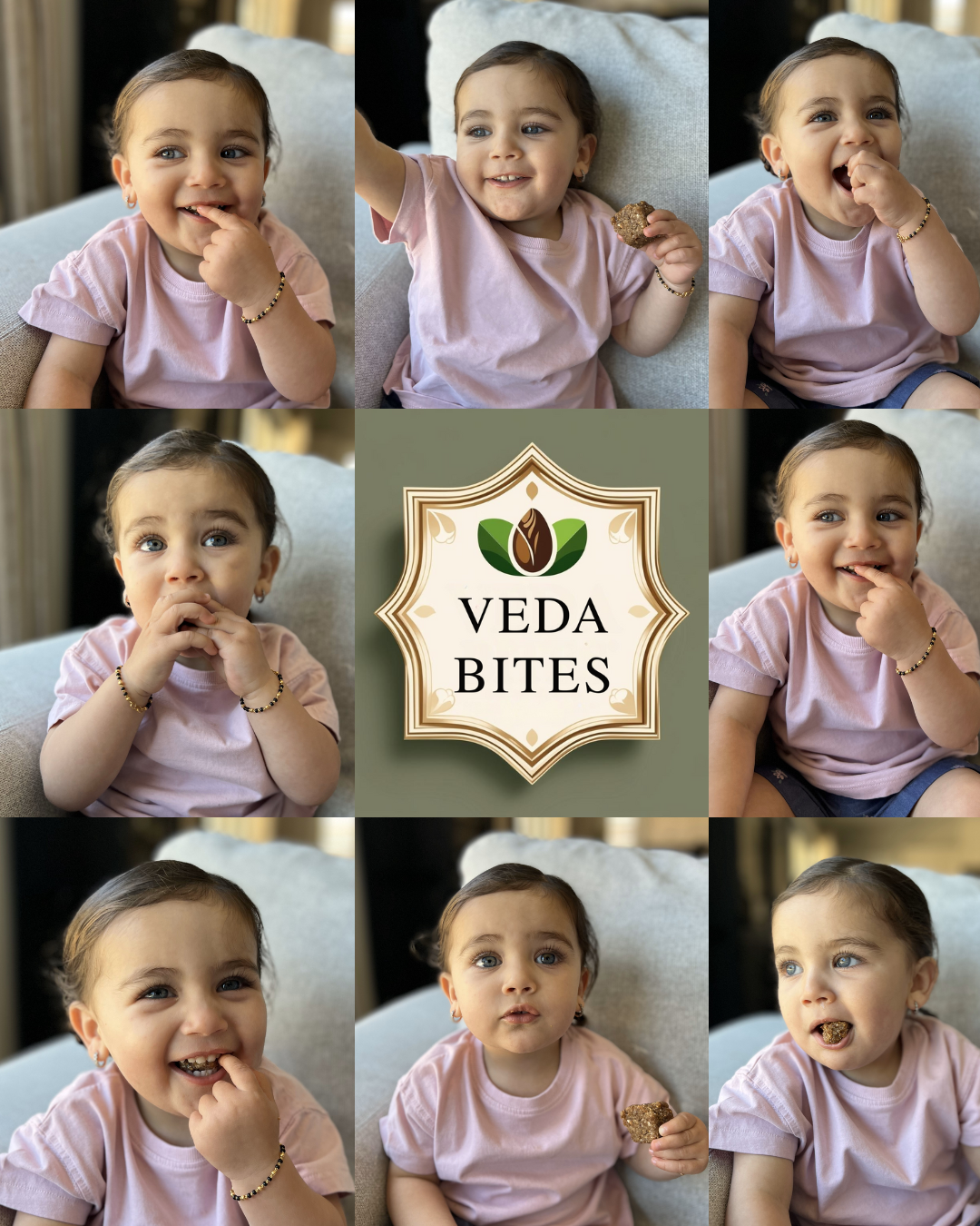 Veda Bites | Natural Snack with Dates, Figs & Nuts